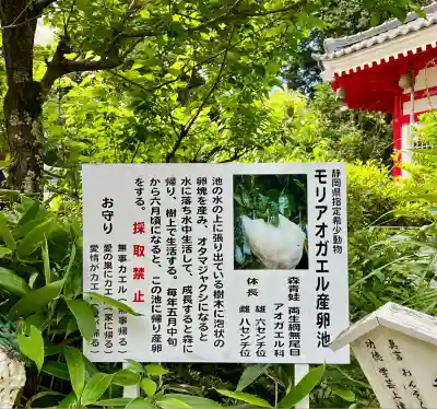 清水寺(静岡県)