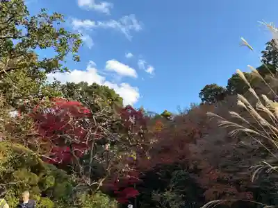 詩仙堂（丈山寺）(京都府)