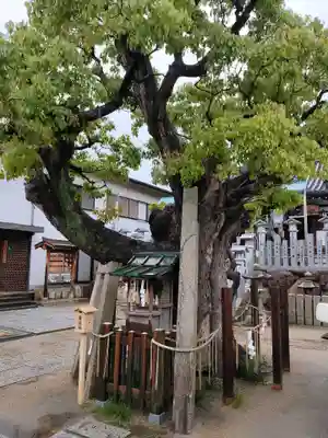 高崎神社の自然