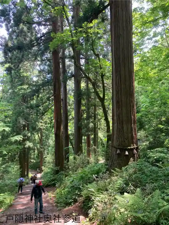 戸隠神社奥社(長野県)