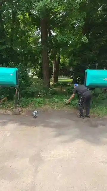彌彦神社 (伊夜日子神社)の庭園