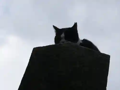 伏見稲荷大社の動物