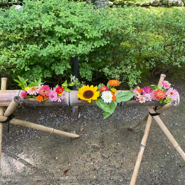 二尊院(京都府)