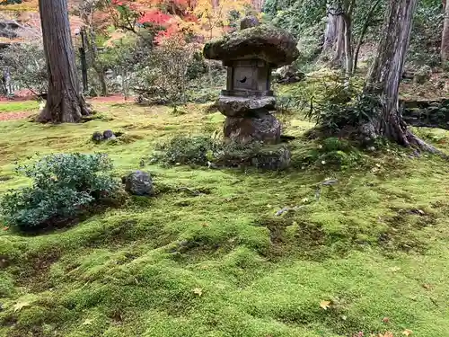 三千院門跡の庭園