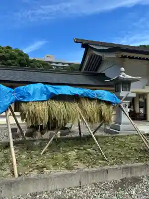 愛知縣護國神社(愛知県)