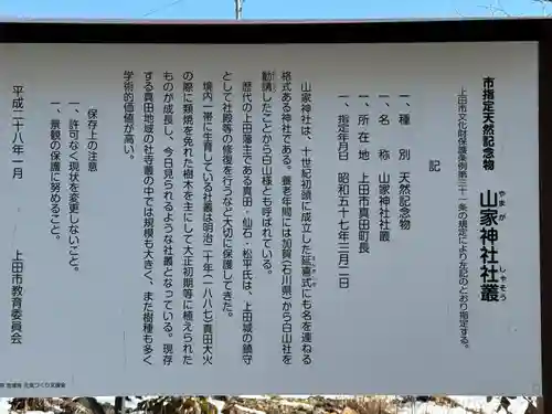 山家神社(長野県)