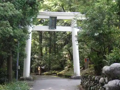 雄山神社前立社壇の鳥居