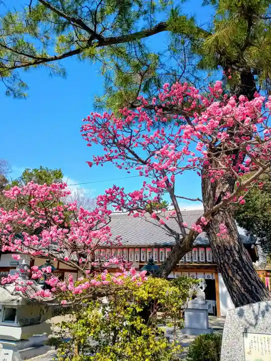 種貸社(住吉大社末社)(大阪府)