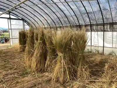 美奈宜神社(福岡県)