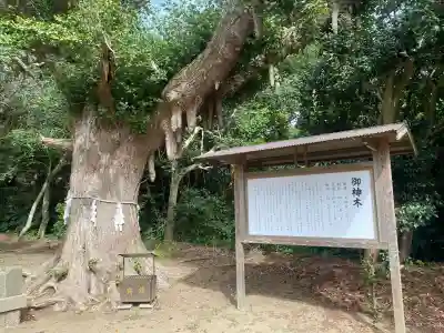 鎌数伊勢大神宮(千葉県)