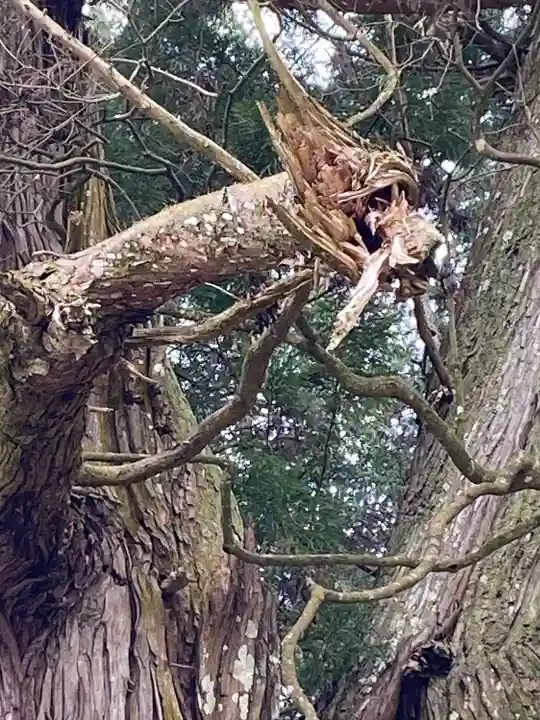 高岡神社(岡山県)