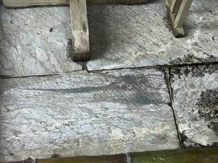 三峯神社(埼玉県)