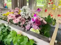 彌彦神社 (伊夜日子神社)の手水舎