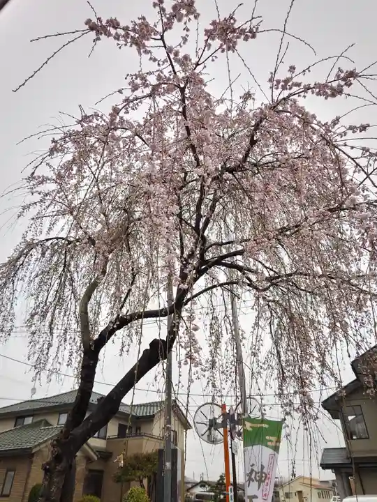 熊野福藏神社の自然