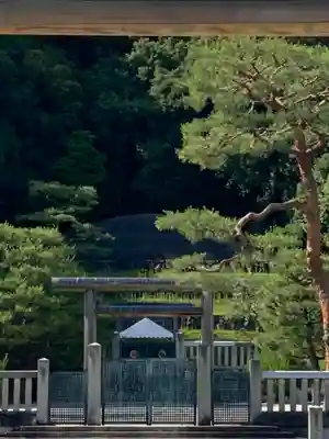 明治天皇伏見桃山陵の鳥居