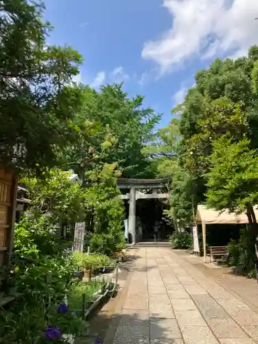 江東天祖神社の鳥居