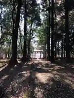 東蕗田天満社の自然