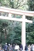 明治神宮(東京都)