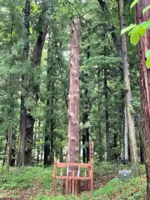 諏訪大社下社秋宮(長野県)