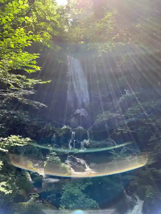 桜松神社の自然