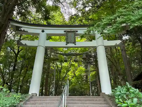 宝登山神社奥宮(埼玉県)
