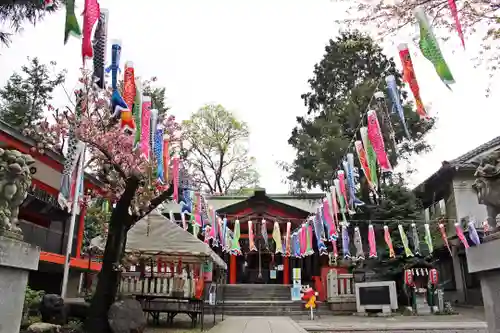 くまくま神社(導きの社 熊野町熊野神社)のお祭り