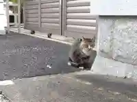 立蔵寺(岐阜県)