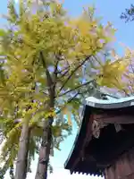 杉杜白髭神社(福井県)