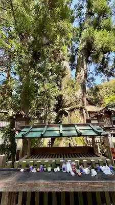 大神神社(奈良県)