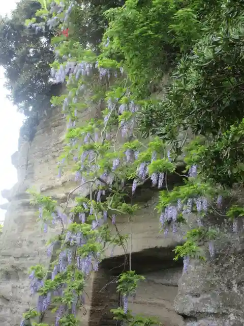英勝寺(神奈川県)