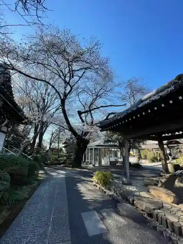 船橋不動尊　寳性寺のその他建物