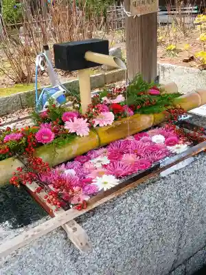 金刀比羅神社(新潟県)