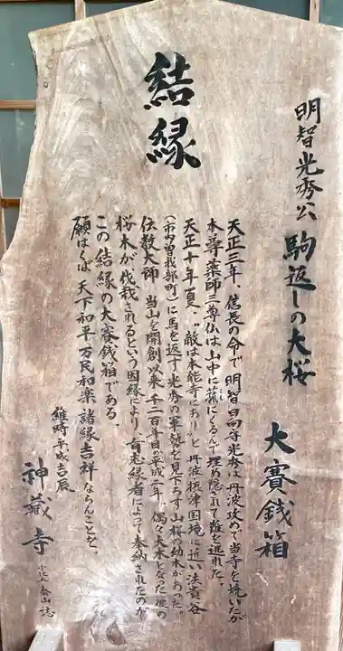 神藏寺の御朱印