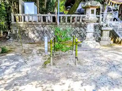 樹木神社のその他建物