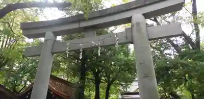 愛宕神社の鳥居