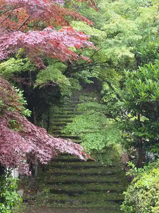 金蔵寺(京都府)