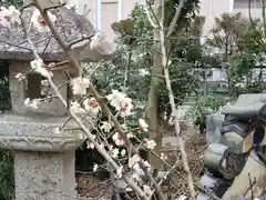 筑摩神社(滋賀県)