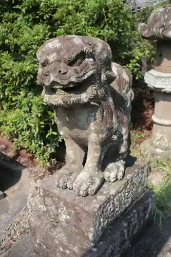 大祭天石門彦神社（三宮神社）の狛犬