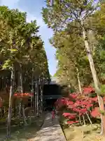 曹源寺のその他建物