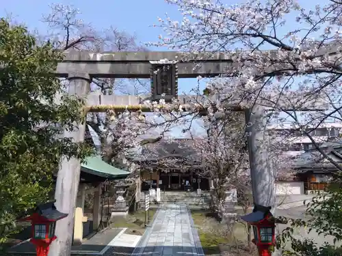  湊八幡神社(福井県)