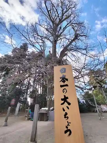 水戸八幡宮(茨城県)