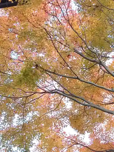 宝厳寺(滋賀県)