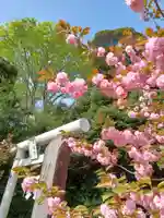 子鍬倉神社の鳥居