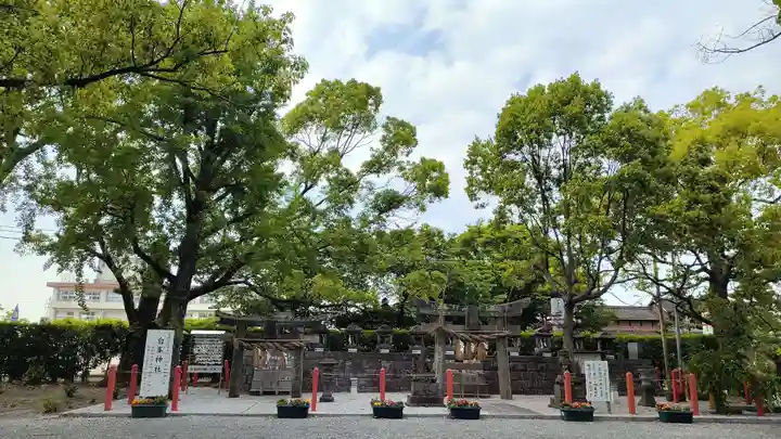 美奈宜神社(福岡県)