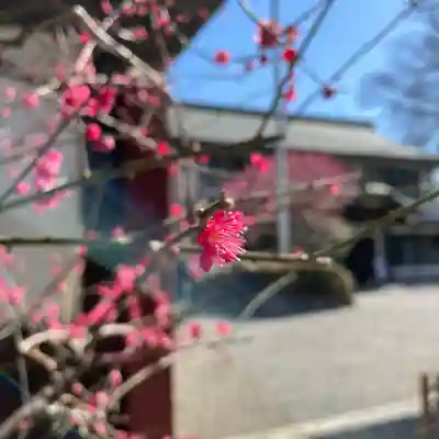 大國魂神社(東京都)