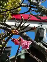 鎌倉宮(神奈川県)