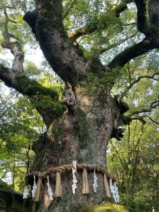 熱田神宮(愛知県)