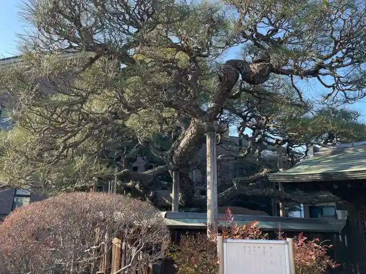 神宮寺の{uncategorized: "未分類", other: "その他", undefined: "問題あり", building: "その他建物", grave: "お墓", sacred_gate: "鳥居", guardian: "狛犬", statue: "像", buddha: "仏像", history: "歴史", nature: "自然", garden: "庭園", animal: "動物", pagoda: "塔", temizu: "手水舎", mountain_gate: "山門・神門", sanctuary: "本殿・本堂", subordinate: "末社・摂社", art: "芸術", scenery: "景色", jizo: "地蔵", ema: "絵馬", goshuin: "御朱印", omikuji: "おみくじ", items: "授与品その他", amulet: "お守り", goshuincho: "御朱印帳", eats: "食事", festival: "お祭り", votive_dance: "神楽", shichigosan: "七五三参", wedding: "結婚式", experience: "体験その他", initially: "初詣", around: "周辺", anti_infection: "感染症対策"}