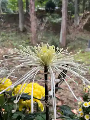 大宮温泉神社(栃木県)
