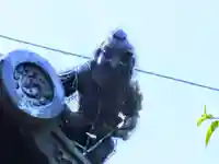 宝全寺のその他建物